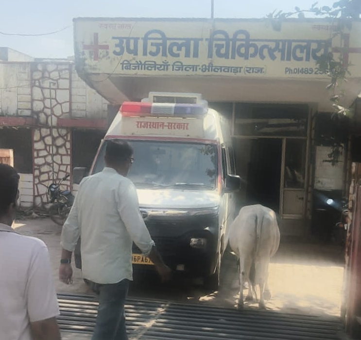 केसरगंज कट पर बाइक स्लिप होने से 15 वर्षीय छात्र की मौत, विक्रमपुरा कट पर कार की टक्कर से महिला-पुरुष ने तोड़ा दम