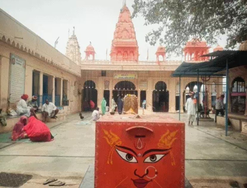  मां विंध्यवासिनी शक्ति पीठ पर नौ वर्षों से निःशुल्क भोजन सेवा