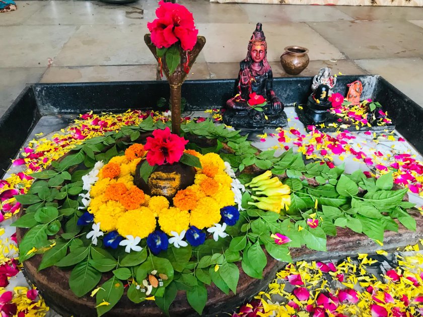 बिजौलिया में नाग पंचमी पर शिवालयों में उमड़ी आस्था