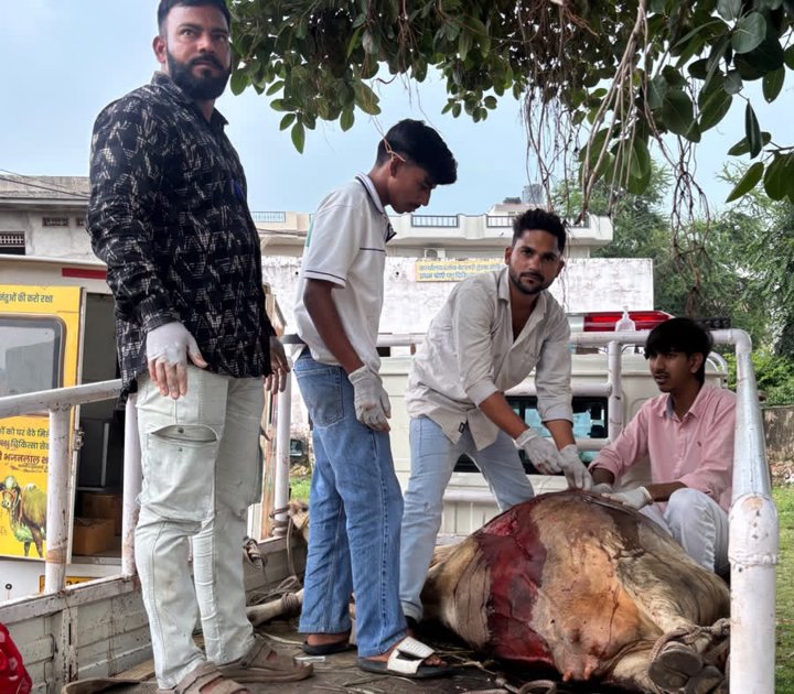 5 घंटे ऑपरेशन कर 317 टांके लगाकर बचाई जान