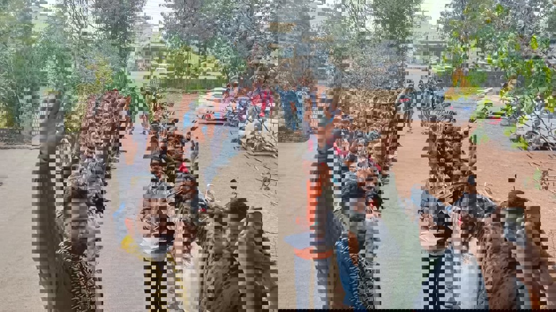  सुप्रीम कोर्ट के आदेश का हवाला देकर उपखण्ड अधिकारी को सौंपा ज्ञापन